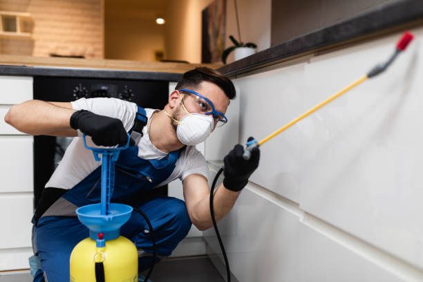 Best Mosquito Control Services  in New Boston, OH