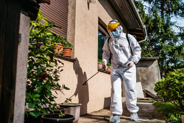 Best Exterminator Services  in New Boston, OH