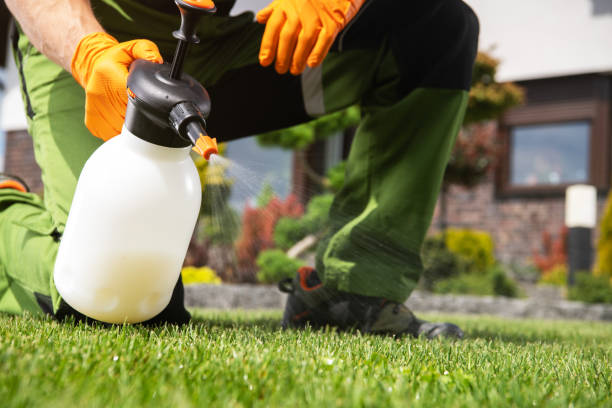Best Commercial Pest Control Services  in New Boston, OH