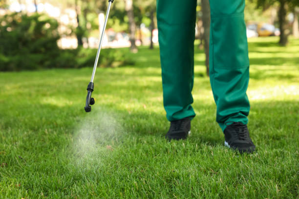 Best Cockroach Control Services  in New Boston, OH