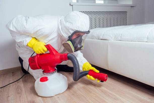 Best Mosquito Control Services  in New Boston, OH