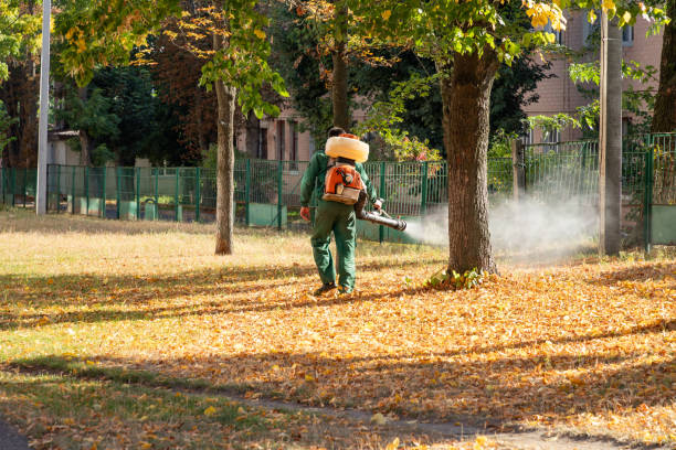 Best Best Pest Control Companies  in New Boston, OH