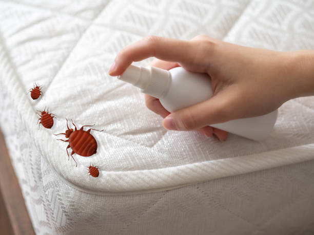 Best Best Pest Control Companies  in New Boston, OH