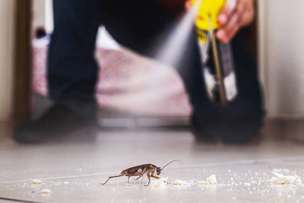 Best Pest Control for Homes  in New Boston, OH