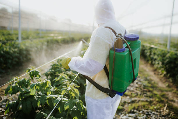 Best Pest Removal Services  in New Boston, OH